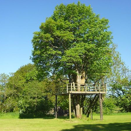 Hotel Newmoor Park Launceston Exterior foto