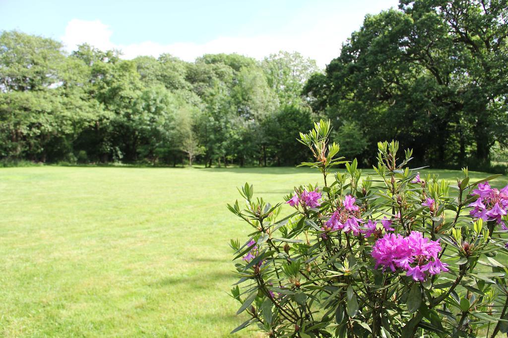 Hotel Newmoor Park Launceston Exterior foto