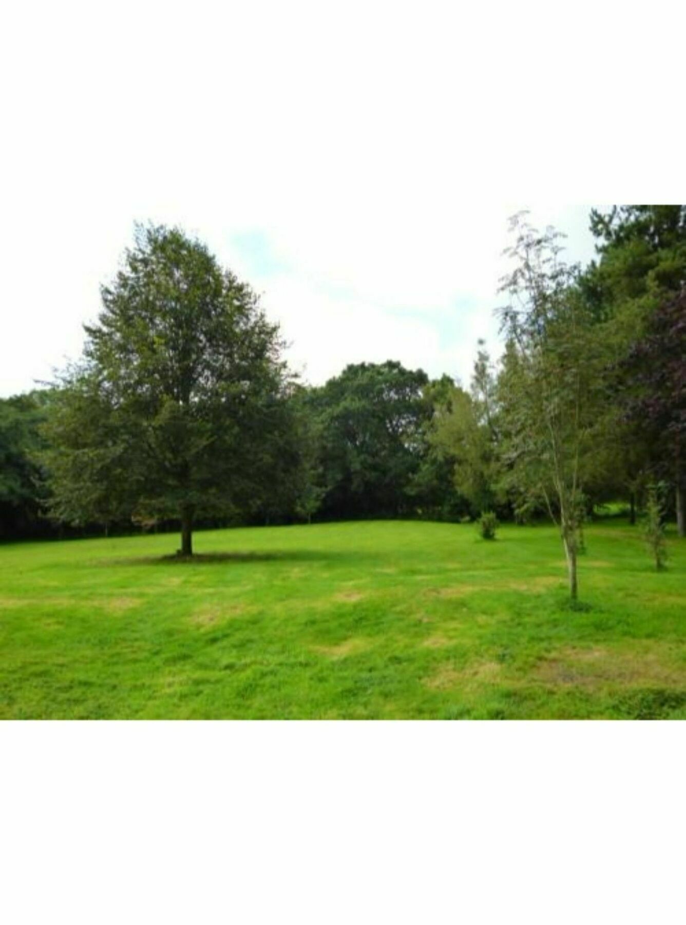 Hotel Newmoor Park Launceston Exterior foto