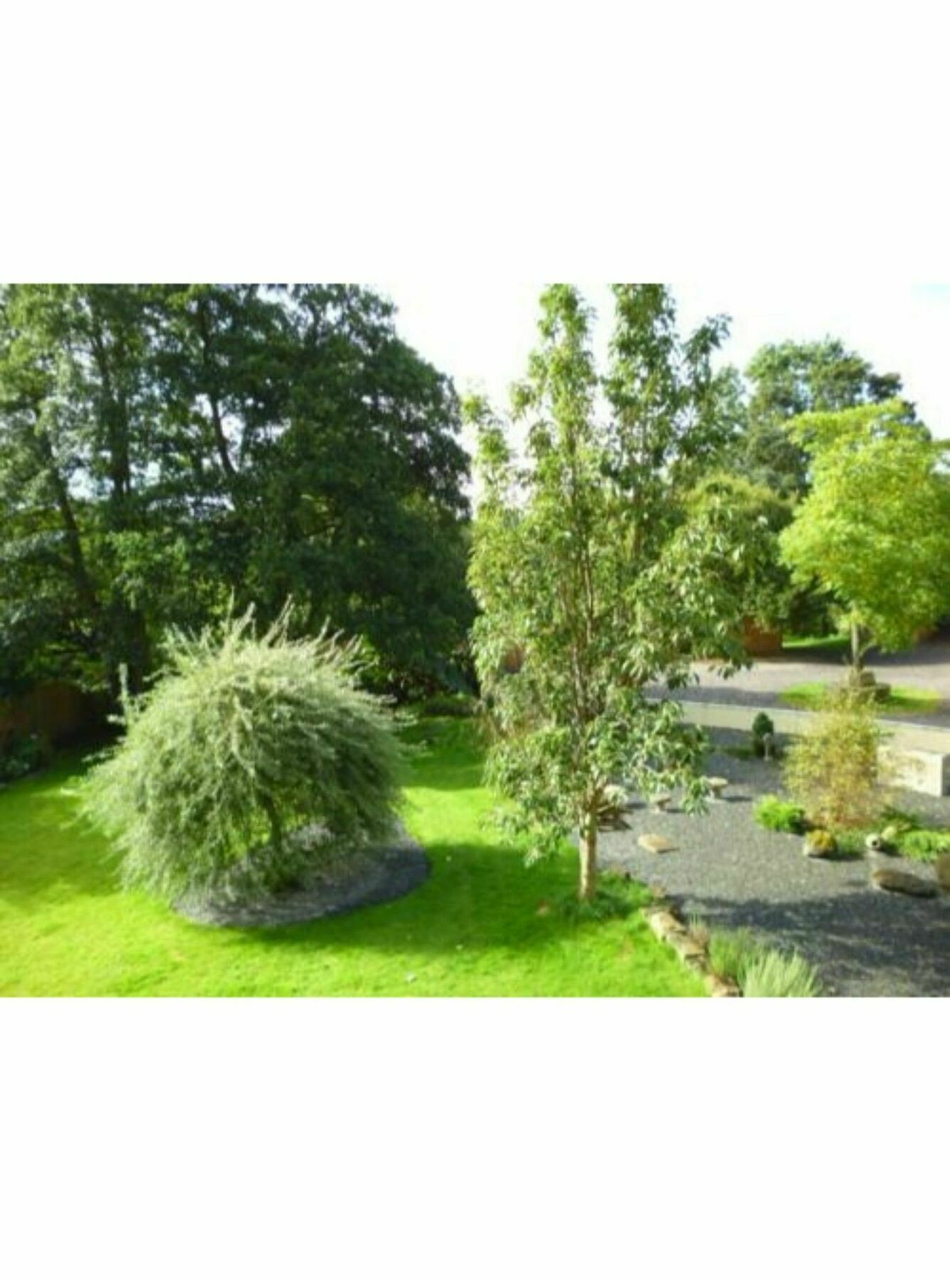 Hotel Newmoor Park Launceston Exterior foto